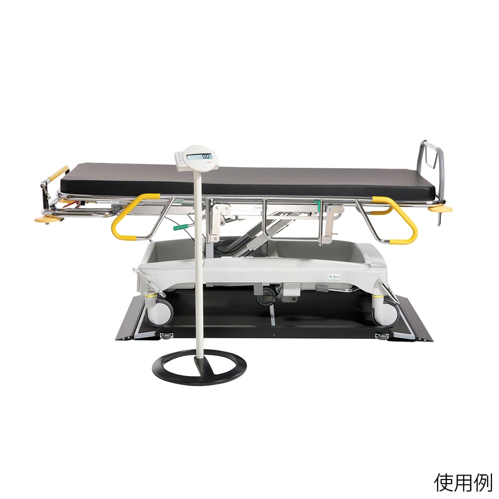 65-3909-97 デジタルストレッチャー用スケール（RS232C出力）[検定付]3