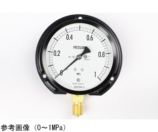 普通形圧力計（Φ100） 立形B枠 蒸気・耐振用 0.6MPa 検査証明書付　AE20231MV0.6M