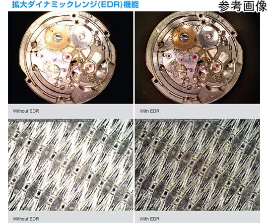 DAIDOMORIYAMA　ブエノスアイレス　300部限定　プリント付 DAIDOMORIYAMA ブエノスアイレス 300部限定 プリント付
