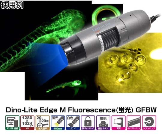 Dino-Lite Edge M Fluorescence（蛍光）GFBW　DINOAM4115TGFBW