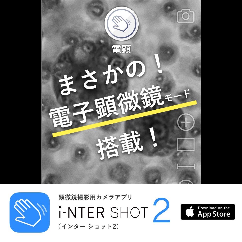 フルサイズα900❤️撮影枚数2793枚レンズ5本付❤️iPhoneアンドロイド転送 フルサイズα900❤️撮影枚数2793枚レンズ5本付❤️iPhone