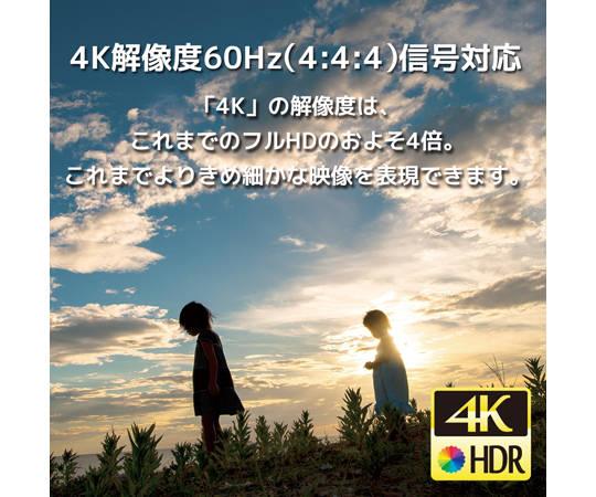 65-5553-76 4K60Hz対応 5入力1出力 HDMI切替器 RS-HDSW51-4KZ 【AXEL