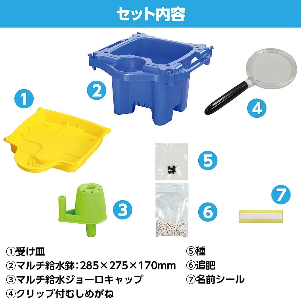 あさがおさま専用 あさがお 様専用 【公式通販】
