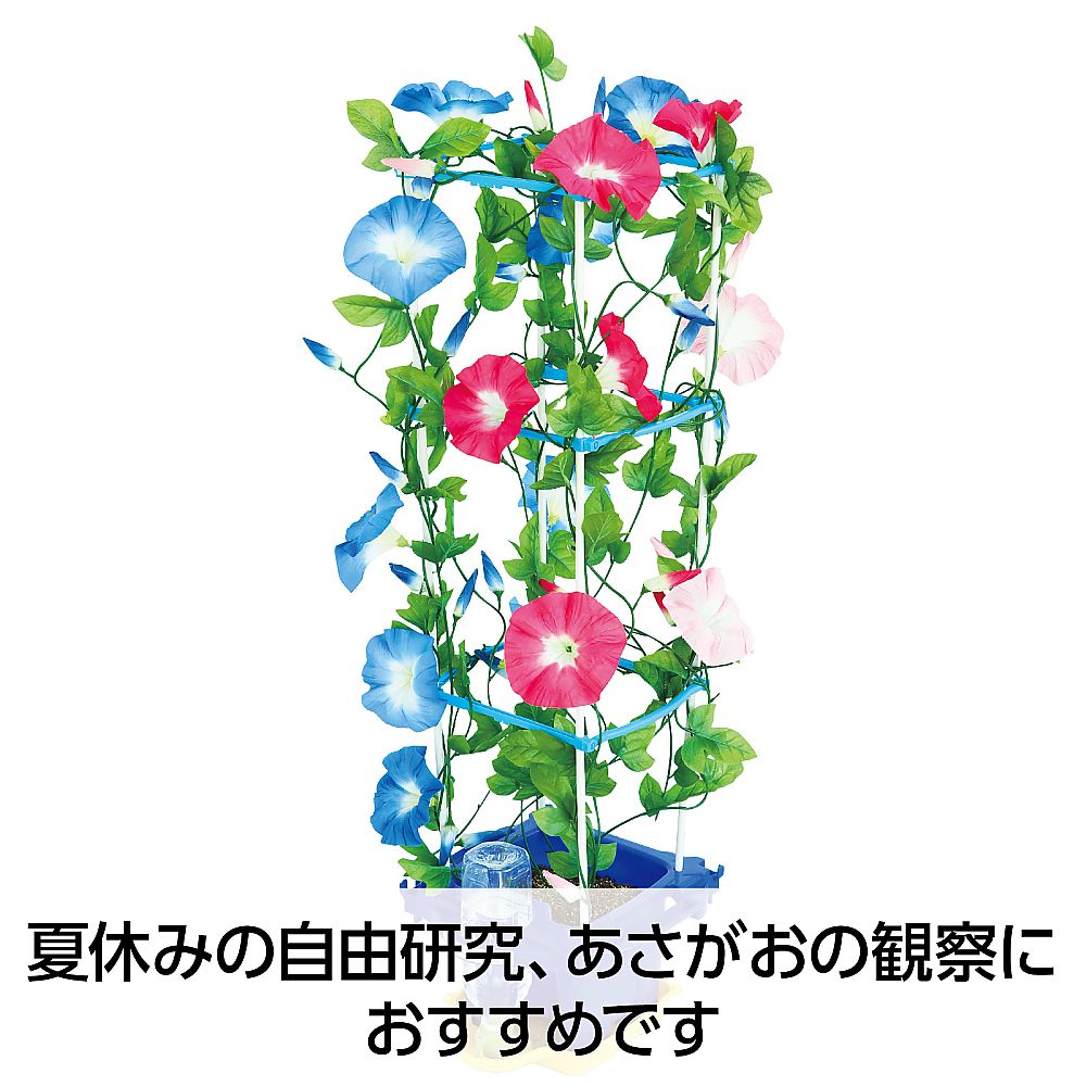 65-5671-17 あさがお栽培セット 93153 【AXEL】 アズワン