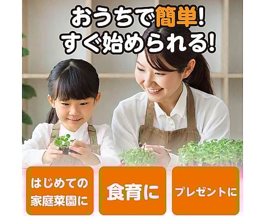 ベビーリーフ さっと使える！JAS認証有機栽培ベビーリーフ1kgミックス業務用