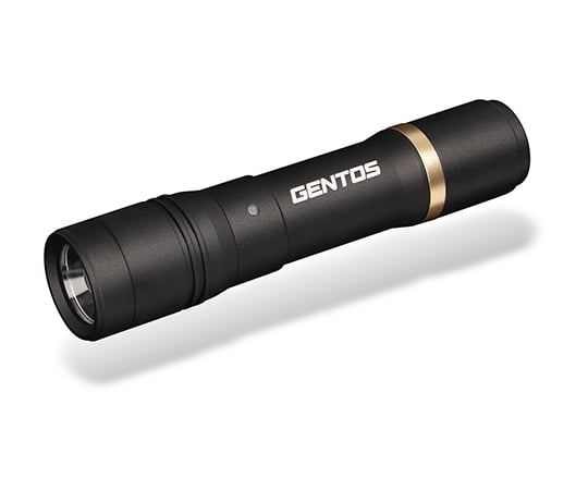 邦楽 r 65-6486-36 REXEEDシリーズ LEDフラッシュライト USB充電式 500