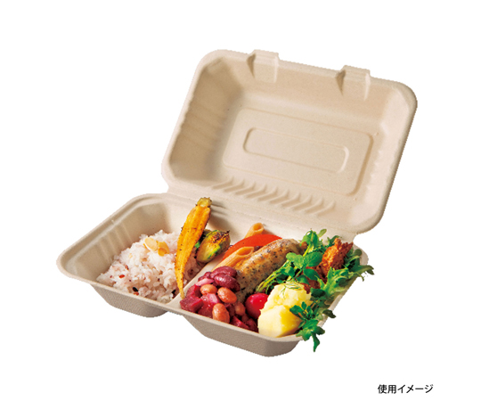 弁当容器 BBランチ BOX 240-150-2 5枚×50袋入　00678164