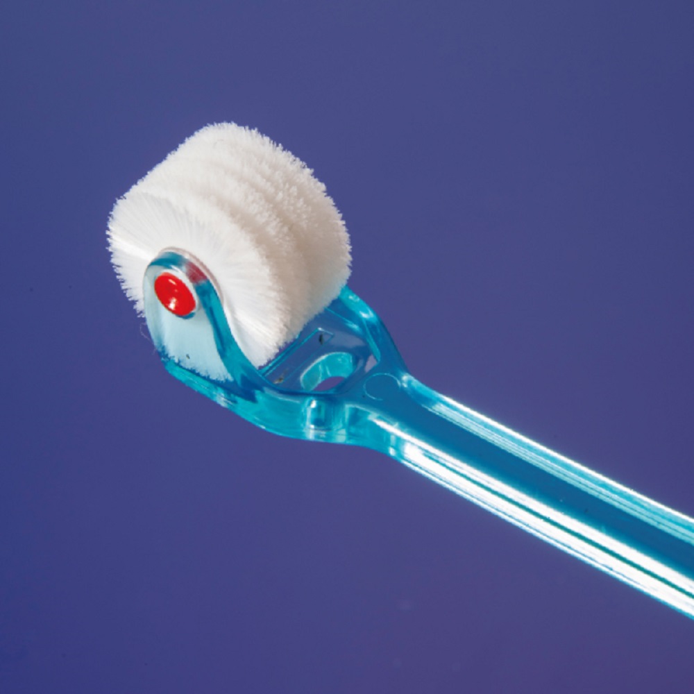 パンパスグラスとアナベルのブルーなフライングリース　エリンジウム　ルリタマアザミ パンパスグラスとアナベルのブルーなフライングリース エリンジウム