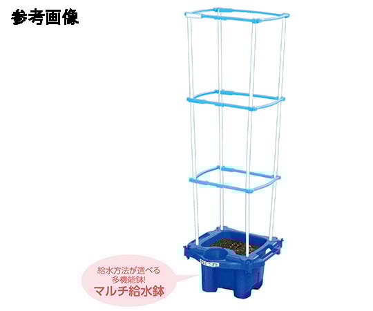 あさがおページ Amazon | 株式会社トーホク 早咲あさがお 09543 | 野菜