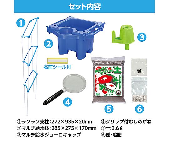 タッグオールスターズ BOX ポケモンカード シュリンク付き