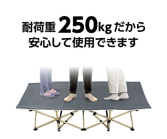 65-9025-66 折り畳み式簡易ベッド 耐荷重250kg 52314 【AXEL】 アズワン