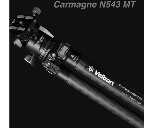 A38Carmagne（A38カルマーニュ）N530SS MT