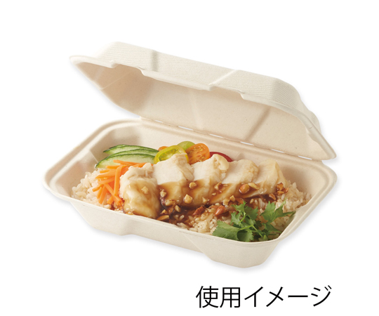 食品容器 エコバンブー フードパック BFD-22 20枚入　004491009
