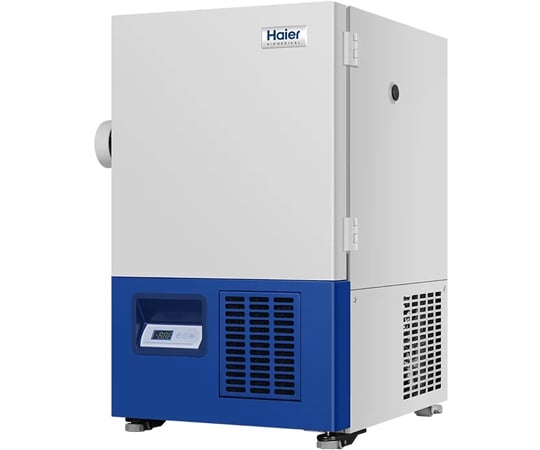 【Arl Dainarygee】31 6 ZEXUS LED ヘッドライト ZX－R30＿ の通販