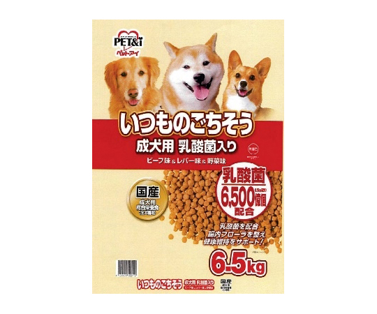 ドッグフード Chii 65-9396-16 いつものごちそう 成犬用 乳酸菌 6.5kg 【AXEL