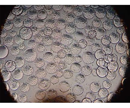 細胞培養基材 球状 4400cm2/g 1箱（40ボトル入） CELCUFG100050S