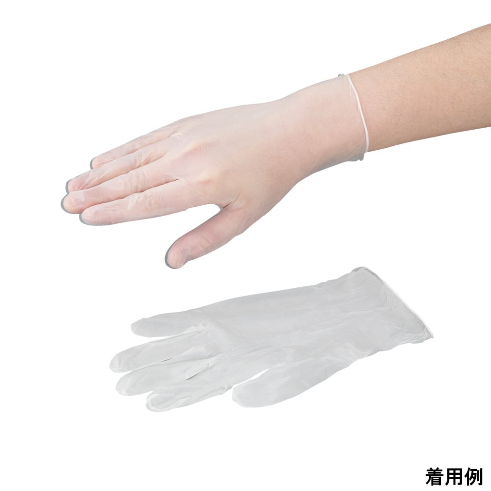 66000654.jpg?v=