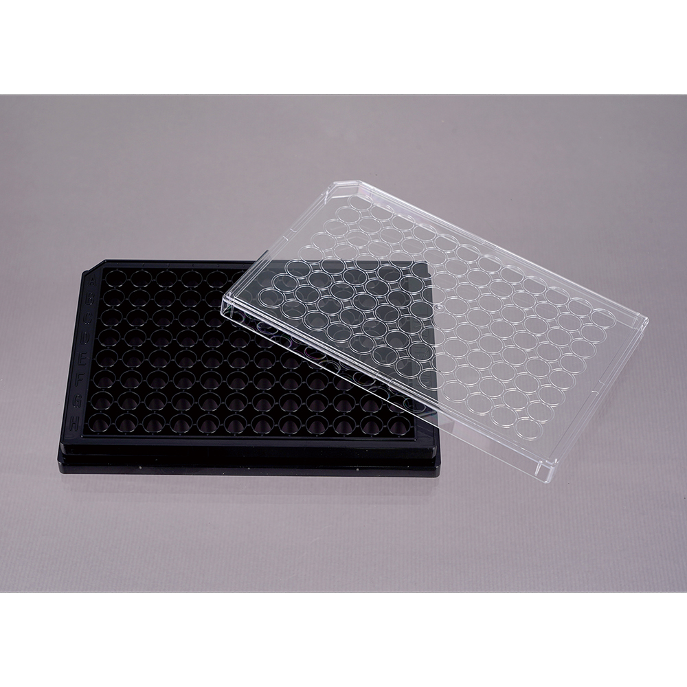 Monoclinic Zirconia Powder | Stanford Advanced Materials