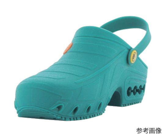 67-2275-17 J オキシクロッグ グリーン 29.0/30.0 Oxyclog-EGN
