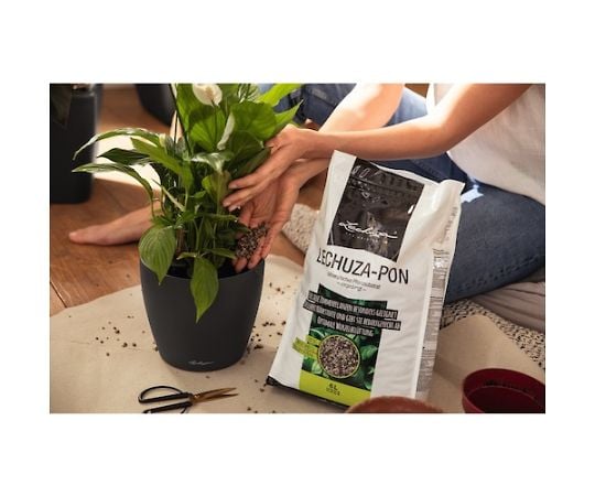 67-2280-75 底面給水プランター用鉢底石 ポン 6L 19561 【AXEL】 アズワン