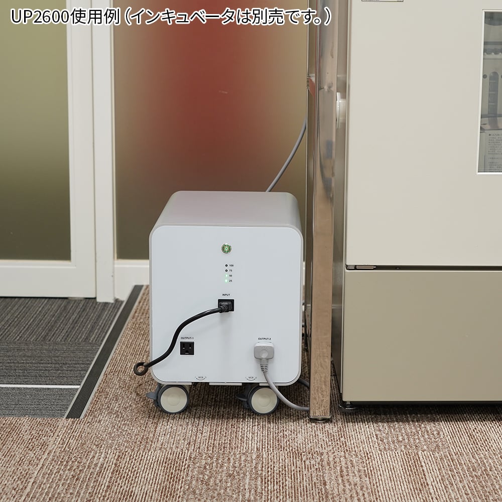 67-2986-37-60 可搬型蓄電池 TAMESUKE5000 レンタル5日 UP5000 【AXEL