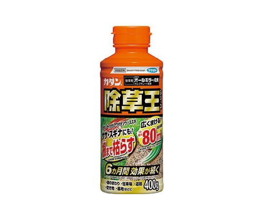 67-3001-13 カダン オールキラー粒剤 400g 【AXEL】 アズワン