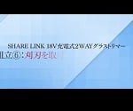 動画