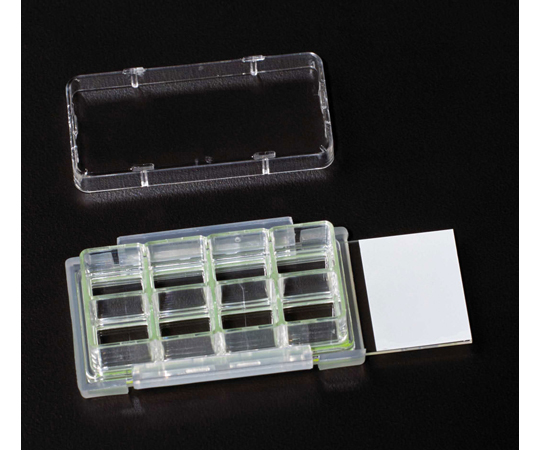 Ceramel　１枚 Glass Bottom Culture Products | 229162 • CELLTREAT