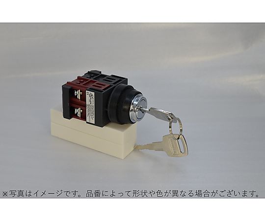 67-4671-04 φ22キー付形（2ノッチ）セレクタスイッチ 手動復帰