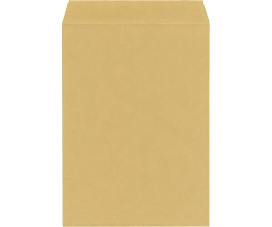67-4735-72 クラフトテープ付封筒 500枚 角2 85g 4211-8480 【AXEL