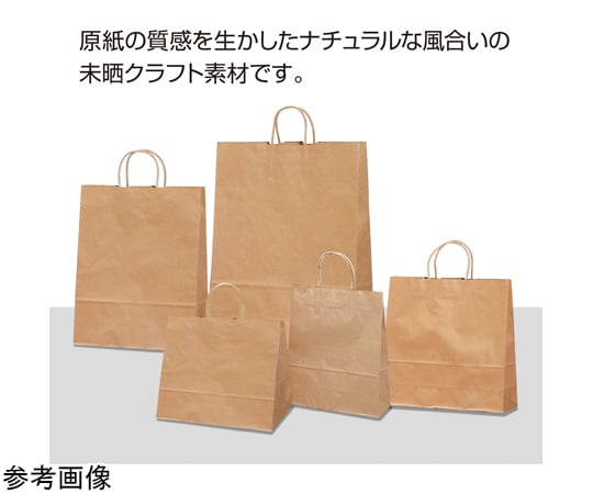 67-4911-36 手提げ袋 未晒 260×100×310mm 10枚入 50-6101 【AXEL