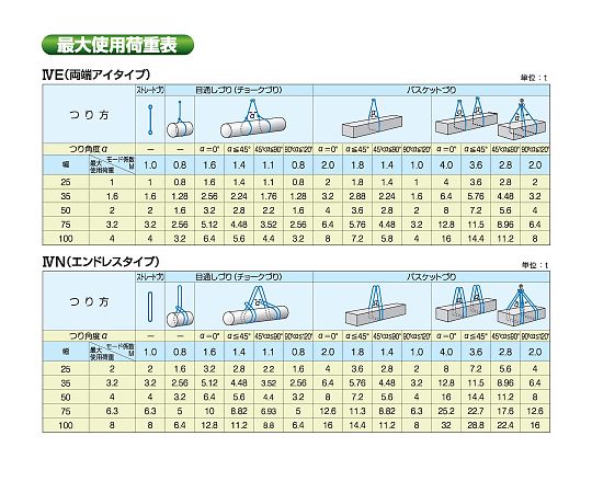 67-5186-81 ブルースリング ⅣE（両端アイタイプ） 2m 4E50X2 【AXEL