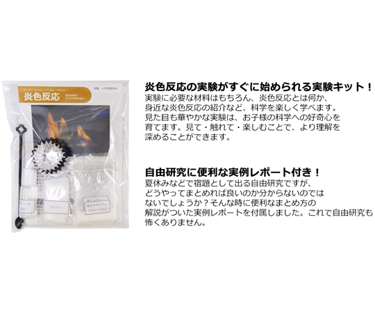 HOSHIZAKI炎色反応さん専用 Z-281 セフティークールチェック 1本(190mL) ホーザン 【通販