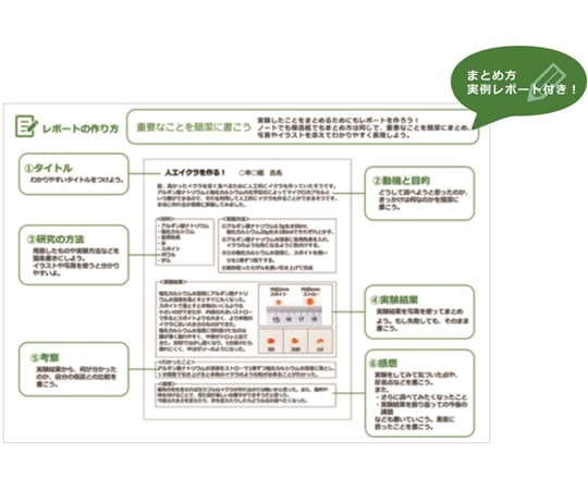 67-5228-35 わくわくサイエンスLabo 人工いくらを作ろう WSL-02 【AXEL