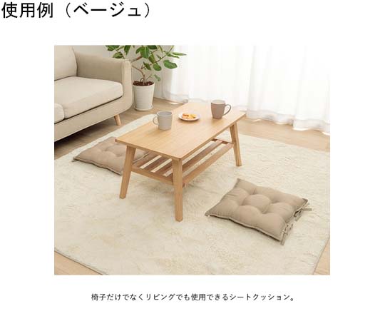 クッション シート ブラウン 約43×43cm 同色2枚組　1211810060203
