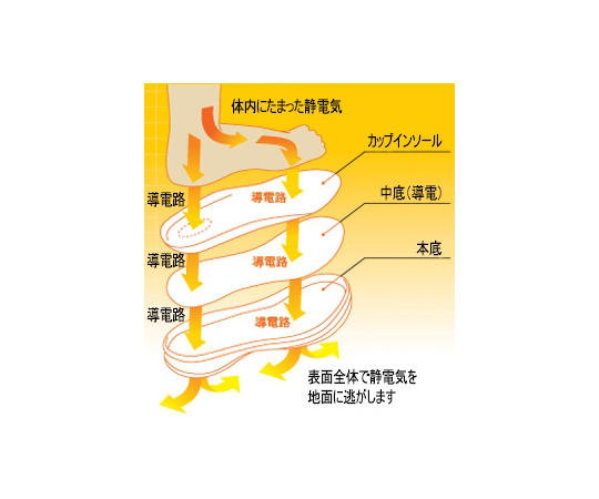 取扱を終了した商品です］JIS規格認定 高機能立体成形セフティ