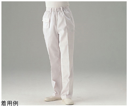 スラックス（トレパン）婦人用 11号　SG-12