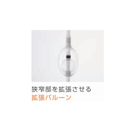 67-7080-94 食道拡張用バルーンカテーテル 14Fr 2本入 8000015366