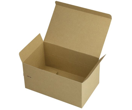 軽食用 ジッパーBOX FSR L【weeco】 100枚　10-406FSR