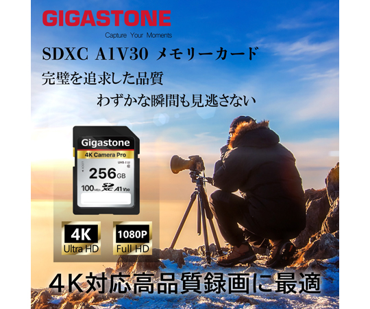 67-7420-04 UHS-1,U3,C10 SDXCカード 256GB GJSXR4K-256GV3A1 【AXEL