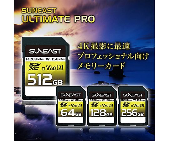 67-7838-98 SDXC UHS-II Card V60シリーズ256GB SE-SDU2256GB280 ...