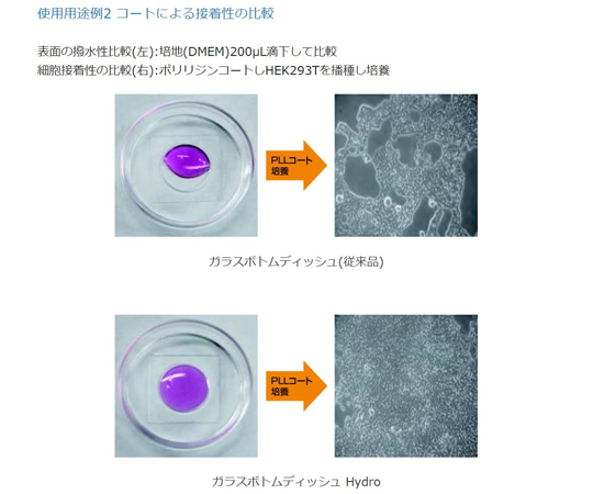 現在受注を停止している商品です］ガラスボトムディッシュ 35mm φ No.1