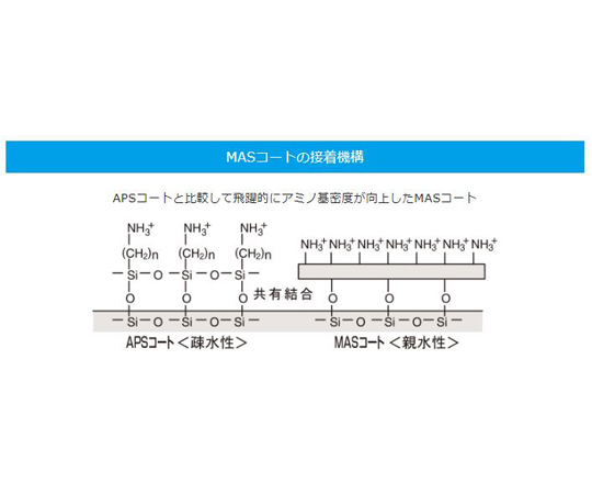 67-8066-97 MASコートスライド ホワイト20 100枚入 MAS-11