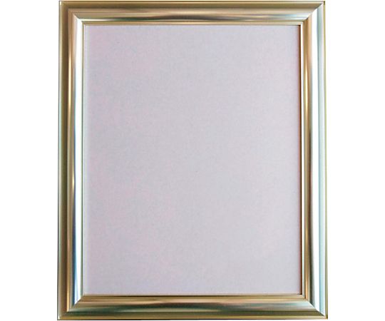 67-8782-67 デッサン額 HVM 800角 ゴールド 屋内用 6300010262 【AXEL