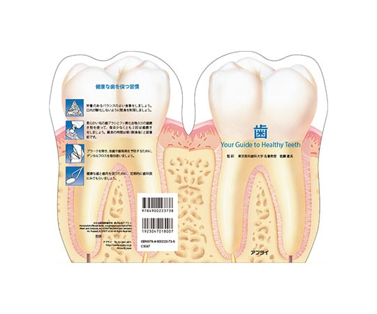 67-9219-13 型抜き絵本 歯 TP027 【AXEL】 アズワン