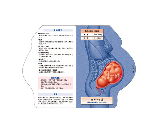 希少）FOTUS フェトウス 胎児リング ピンク