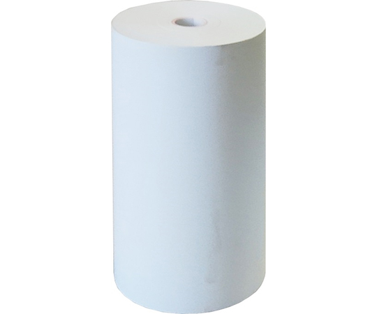 67-9284-13 モバイルプリンター DPU-S245用ロール紙 10巻入 TP-S245L-1