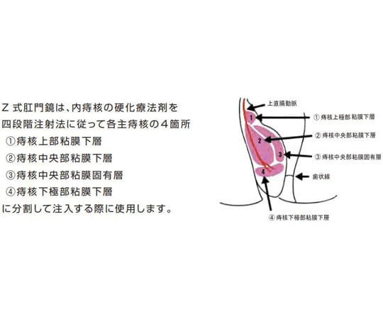 中医専門書セット 中医専門書セット 中医専門書セット 中医内科学 |本 | 通販 |