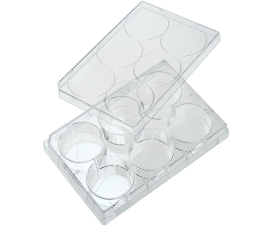 れおページ PAGEBOY｜ワンストバレースニーカー | Rakuten Fashion(楽天