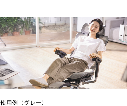 椅子 1 68-0501-86 Chair Premium ブラック FCC-XB 【AXEL】 アズワン